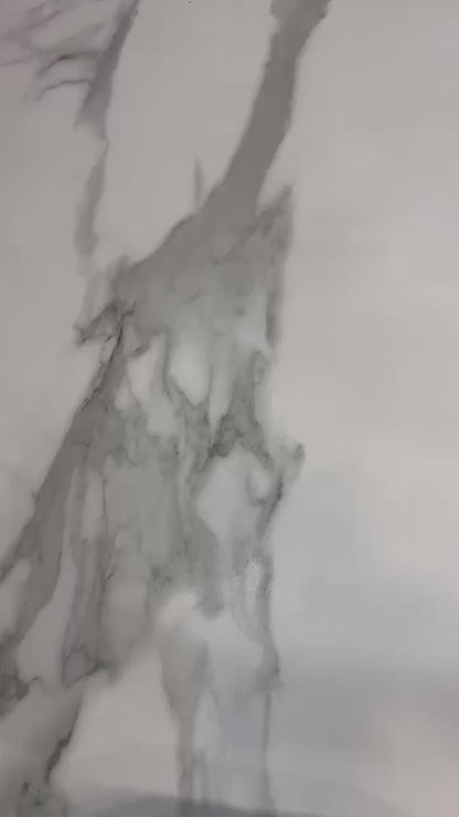 NEW ANARKALI PURE SOFT ORGANJA SILK MARBEL PRINT